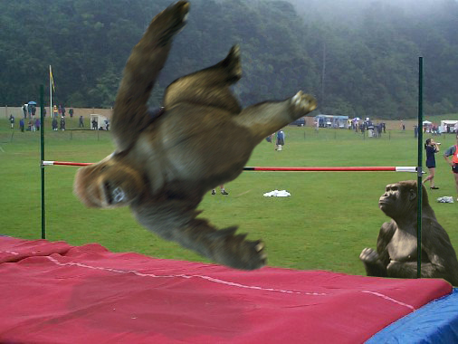 Diseño de Photoshop por Hombre para DesignCrowd (Community Contests) | Diseño #9121411