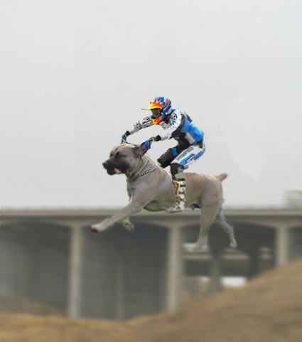 Diseño de Photoshop por kevindesmetz para DesignCrowd (Community Contests) | Diseño #9134738