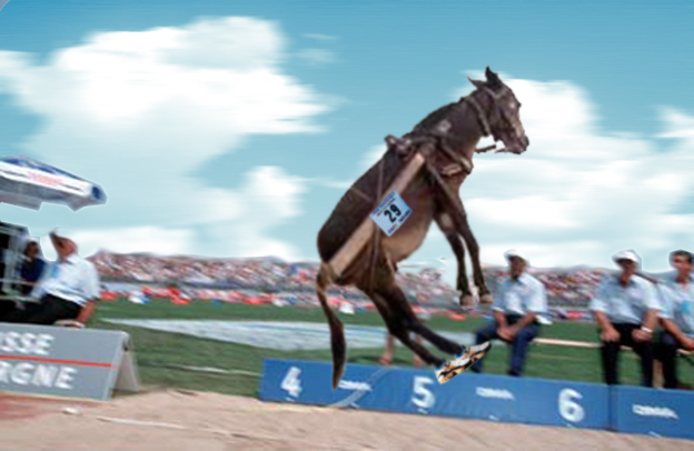 Diseño de Photoshop por kevindesmetz para DesignCrowd (Community Contests) | Diseño #9121422