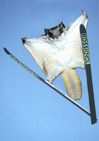 Photoshop Design by fippsbozz for DesignCrowd (Community Contests) | Design #9121415