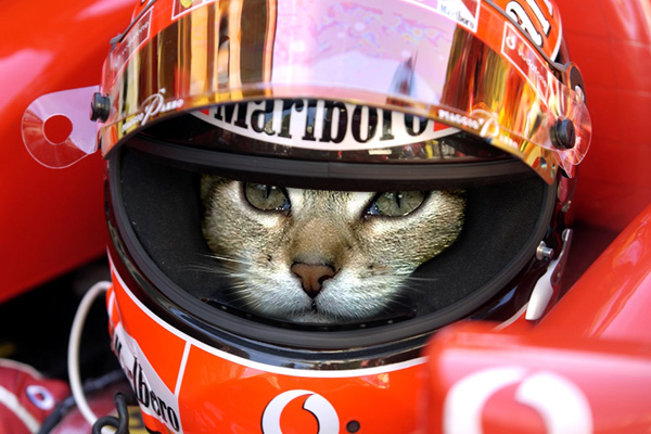 Photoshop Design by Mandara for DesignCrowd (Community Contests) | Design #9121442