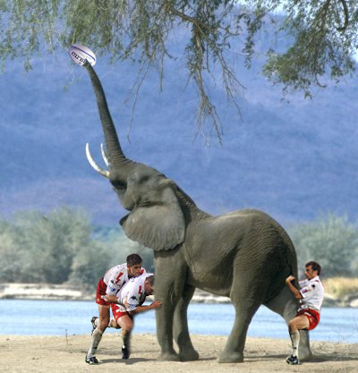 Photoshop-Design von MecDePaname für DesignCrowd (Community Contests) | Design #9121435