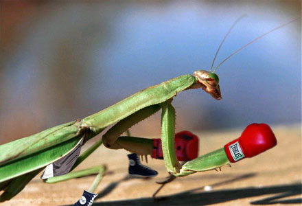 Photoshop-Design von fitrix für DesignCrowd (Community Contests) | Design #9121448