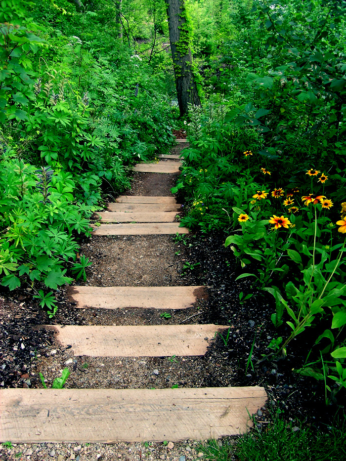 Photography by g4girl for DesignCrowd (Community Contests) | Design #9105980