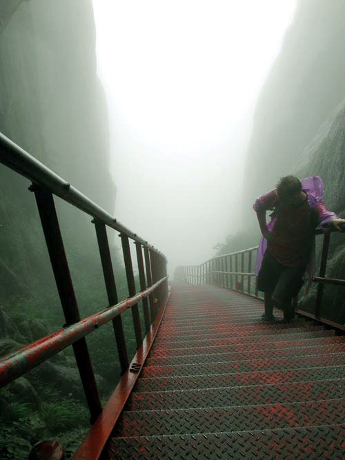 Photographie par Phatal pour DesignCrowd (Community Contests) | Design #9105996