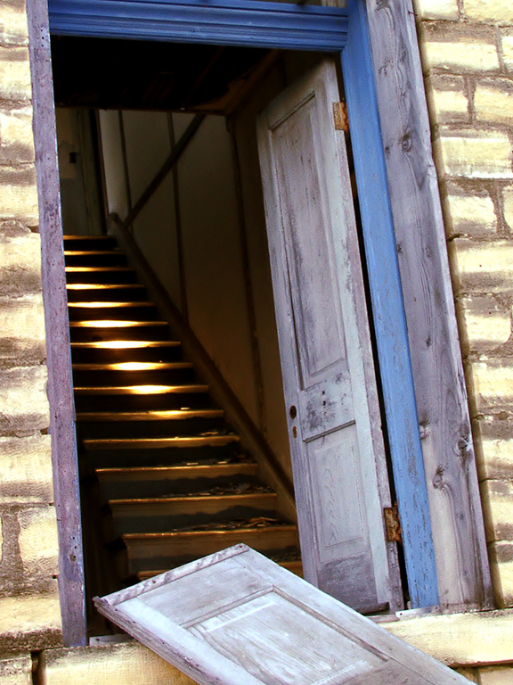 Photography by cats4dogs for DesignCrowd (Community Contests) | Design #9105988