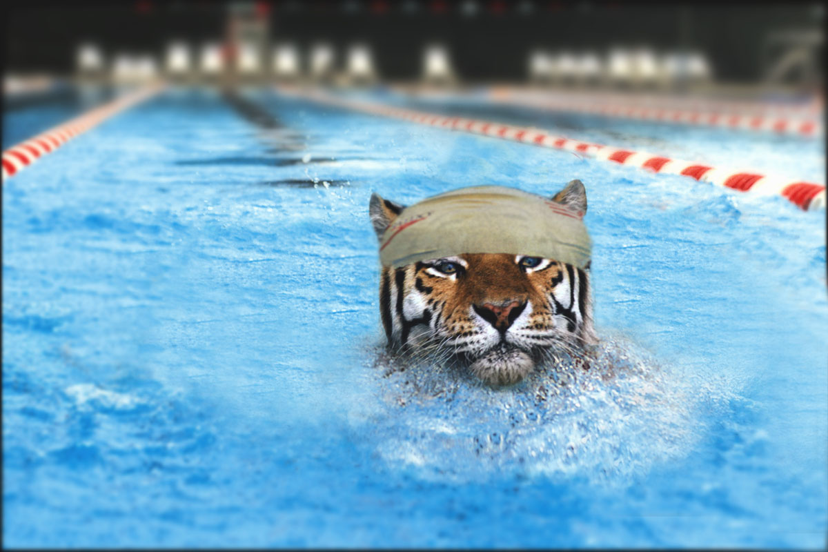 Photoshop Design by Youlookin for DesignCrowd (Community Contests) | Design #9121637