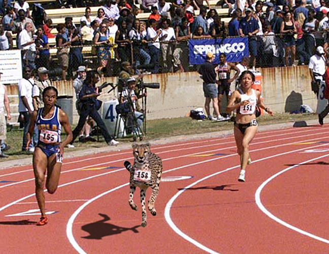 Photoshop Design by digsRus for DesignCrowd (Community Contests) | Design #9121570