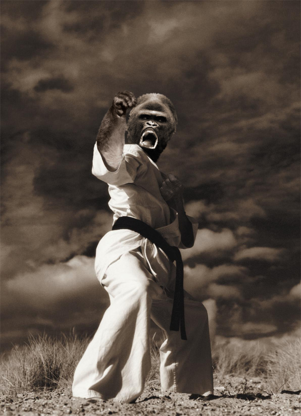 Photoshop-Design von GentleBen für DesignCrowd (Community Contests) | Design #9121642