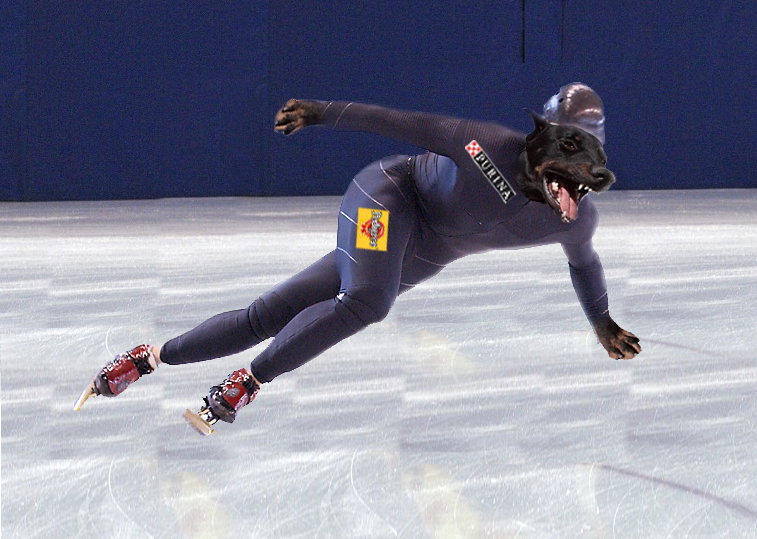 Photoshop Design by dwood58 for DesignCrowd (Community Contests) | Design #9121607