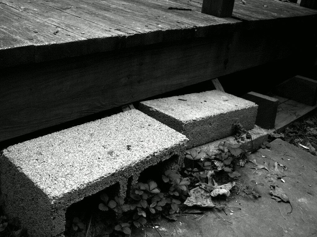 Photography by bluntodoss for DesignCrowd (Community Contests) | Design #9106058