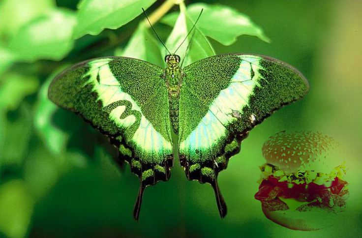 Photoshop Design by vipez for DesignCrowd (Community Contests) | Design #9134261