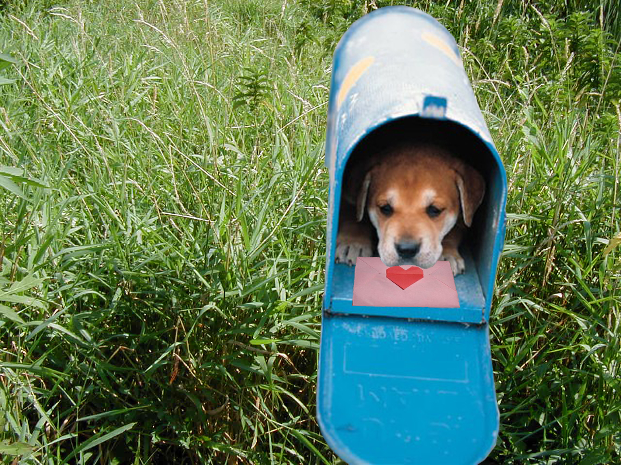 Photoshop Design by Stephie for DesignCrowd (Community Contests) | Design #9134307