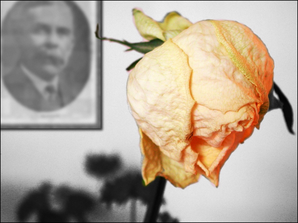 Photoshop Design by Jondor for DesignCrowd (Community Contests) | Design #9134380