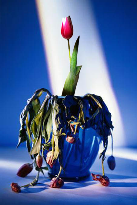 Photoshop Design by JackMack for DesignCrowd (Community Contests) | Design #9134293