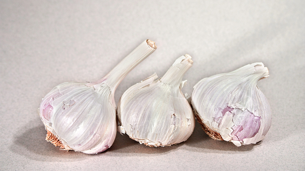 Photography by branie for DesignCrowd (Community Contests) | Design #9121498