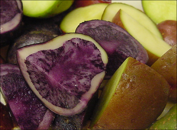 Photography by rusty76 for DesignCrowd (Community Contests) | Design #9121479