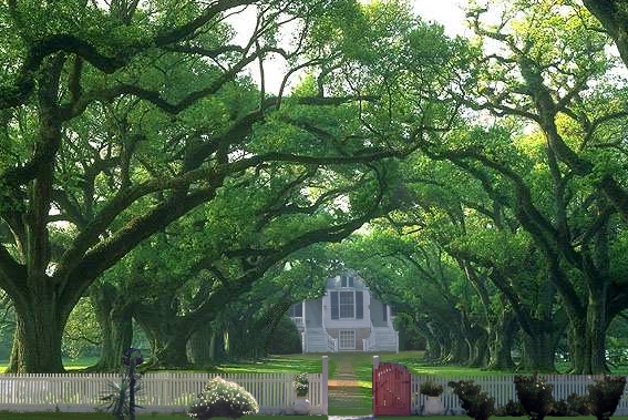 Design Photoshop par CynLynn pour DesignCrowd (Community Contests) | Design #9134084