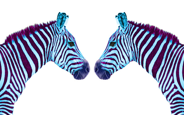 Design Photoshop par traxter pour DesignCrowd (Community Contests) | Design #9119180