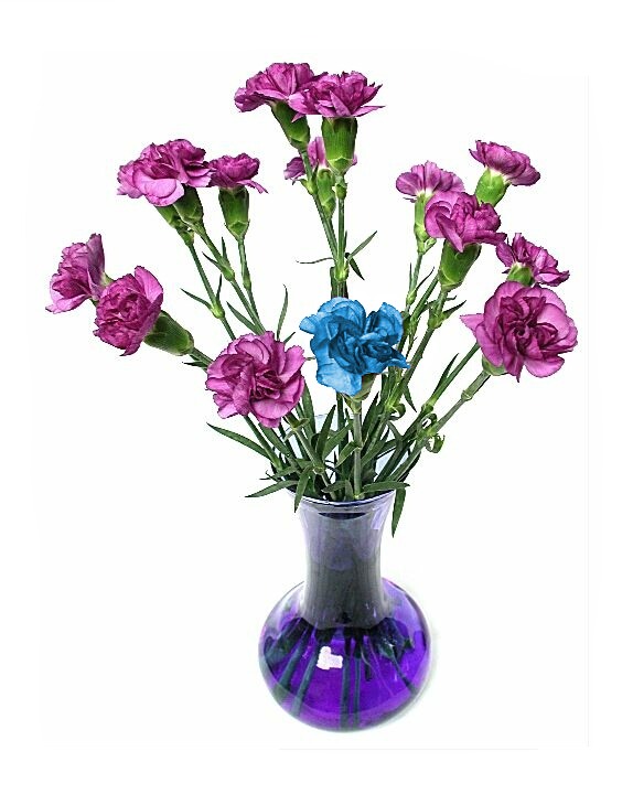 Photoshop Design by justdave for DesignCrowd (Community Contests) | Design #9119182