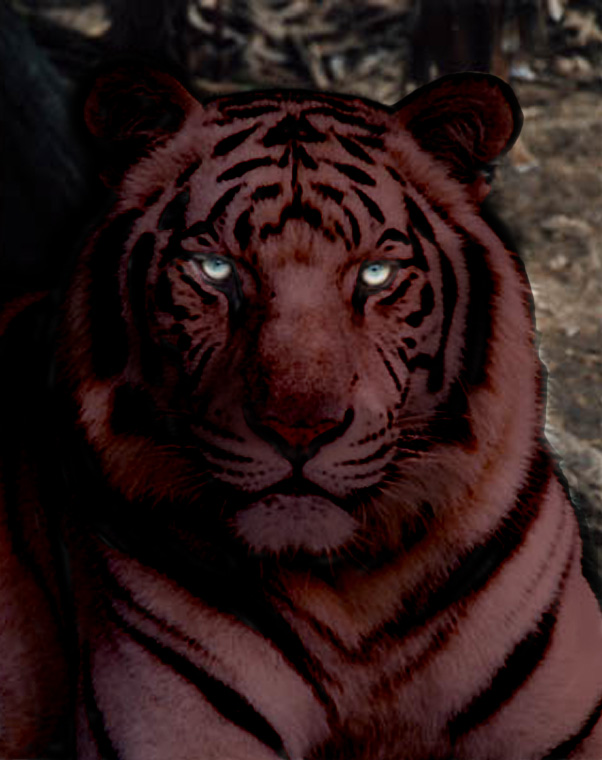 Design Photoshop par jessk09182003 pour DesignCrowd (Community Contests) | Design #9119187