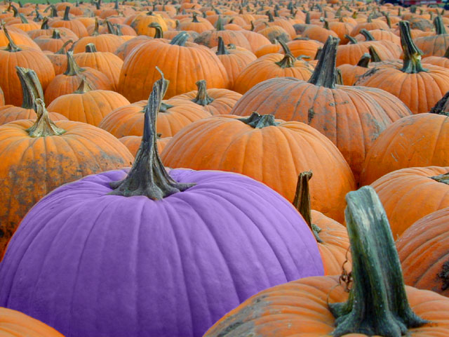 Photoshop-Design von dsa157 für DesignCrowd (Community Contests) | Design #9119250