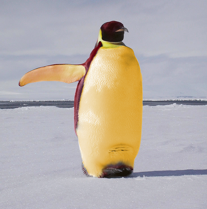 Photoshop Design by dcvarthy for DesignCrowd (Community Contests) | Design #9119575