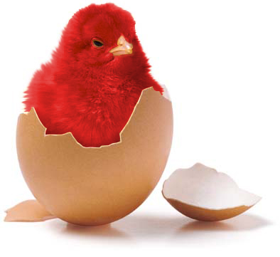 Design Photoshop par gonz34 pour DesignCrowd (Community Contests) | Design #9119596