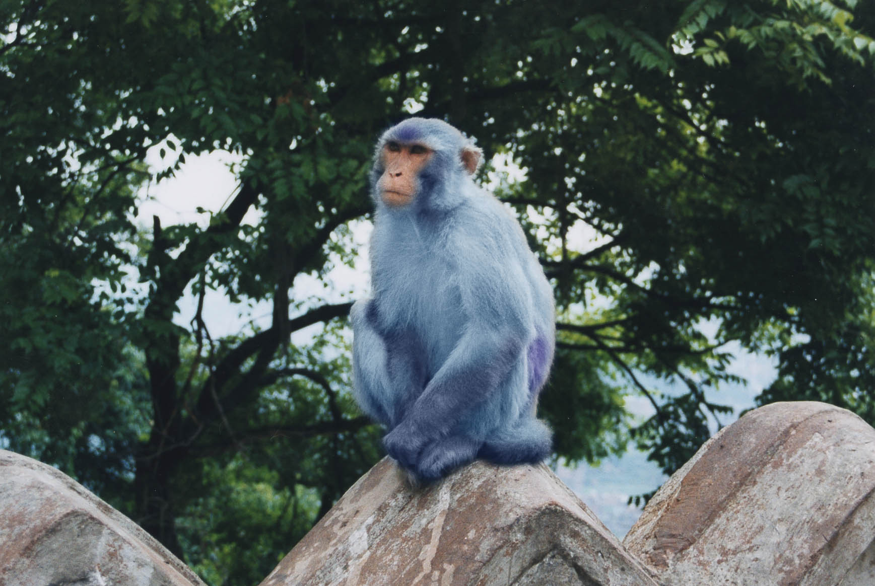 Design Photoshop par TheZodiac pour DesignCrowd (Community Contests) | Design #9119452