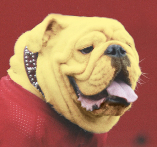 Photoshop Design by ThreeDean for DesignCrowd (Community Contests) | Design #9119566