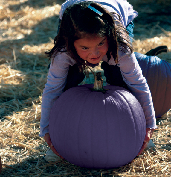 Diseño de Photoshop por LesKellert para DesignCrowd (Community Contests) | Diseño #9119468