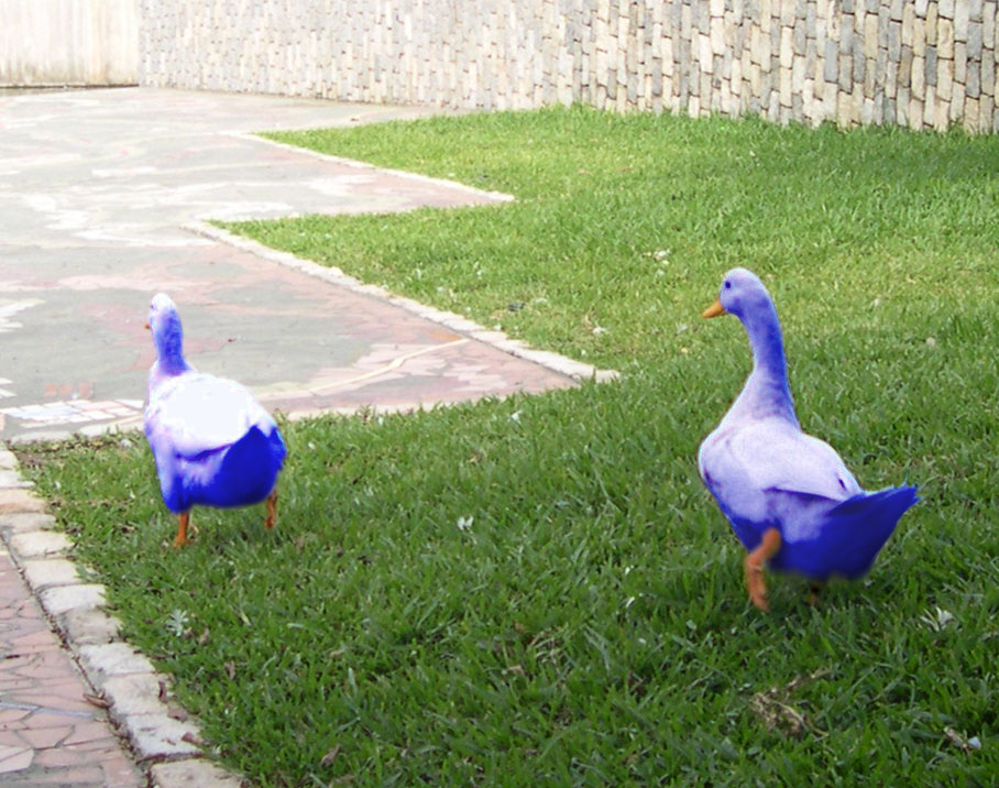 Photoshop Design by chaky for DesignCrowd (Community Contests) | Design #9119522