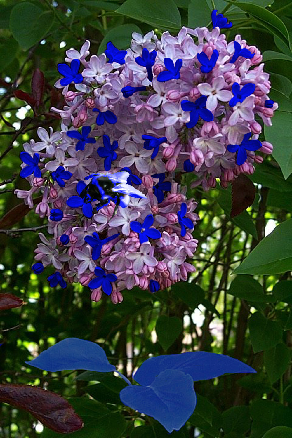 Diseño de Photoshop por LeMolstad para DesignCrowd (Community Contests) | Diseño #9119409