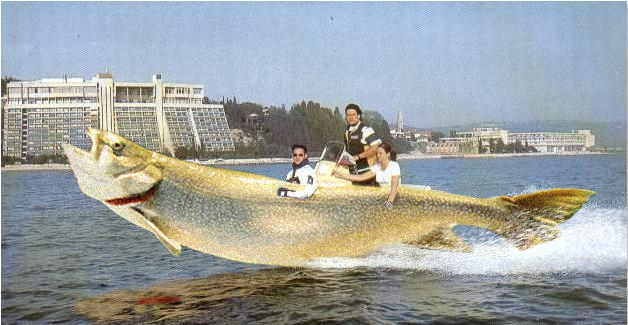 Photoshop-Design von The_Juiceman für DesignCrowd (Community Contests) | Design #9136325