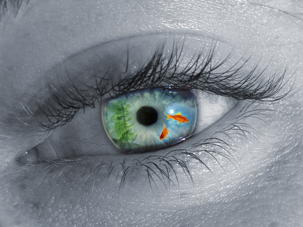 Photoshop Design by dcvarthy for DesignCrowd (Community Contests) | Design #9136369