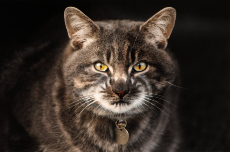 Photoshop Design by Odessa for DesignCrowd (Community Contests) | Design #9136366