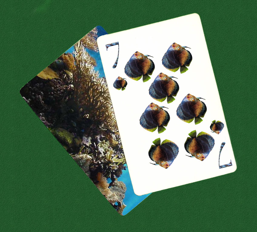 Photoshop Design by BohemianCoast for DesignCrowd (Community Contests) | Design #9136426