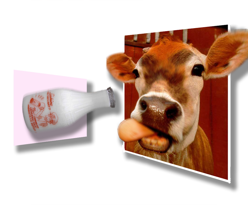 Photoshop-Design von patoloco für DesignCrowd (Community Contests) | Design #9132140