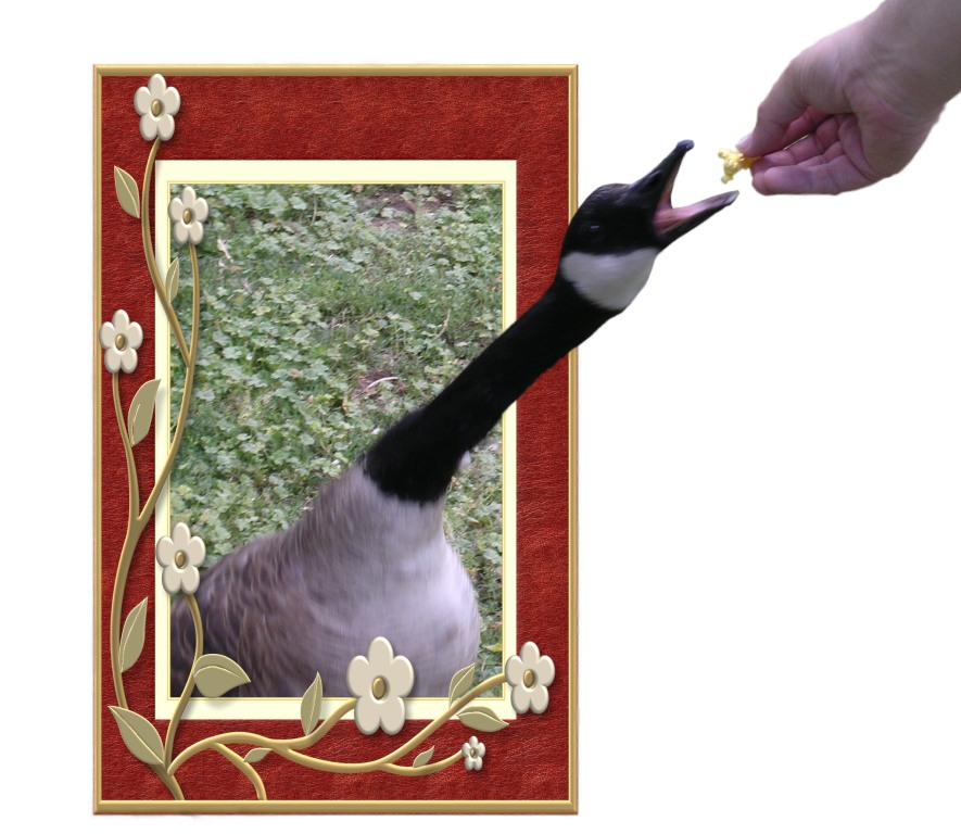 Photoshop-Design von DaftGretel für DesignCrowd (Community Contests) | Design #9132174