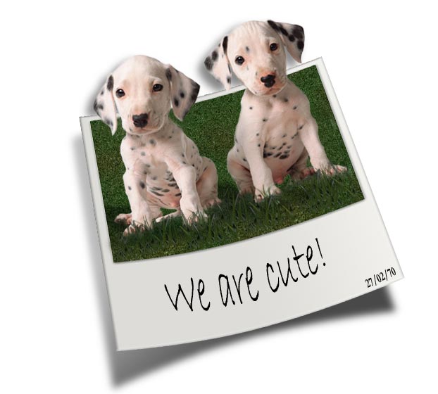 Photoshop Design by uk2usadaz for DesignCrowd (Community Contests) | Design #9132220