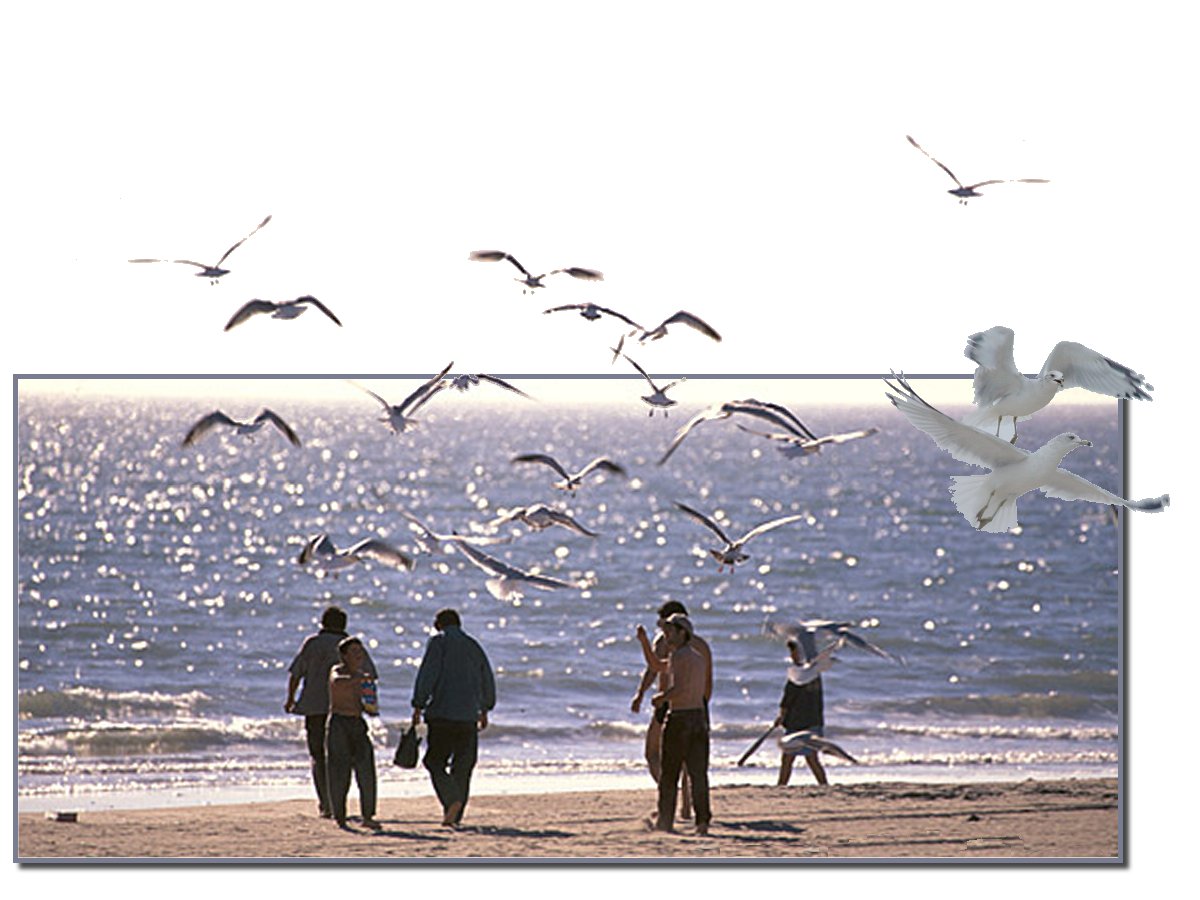 Photoshop-Design von cheetahsgirl2003 für DesignCrowd (Community Contests) | Design #9132252