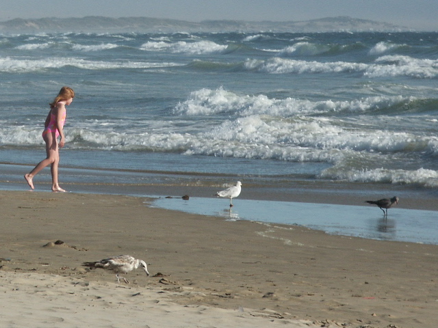 Photography by gabegall for DesignCrowd (Community Contests) | Design #9120825