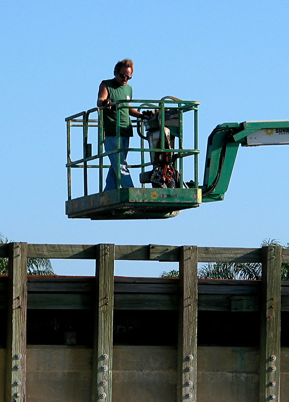 Photography by koalachimbo for DesignCrowd (Community Contests) | Design #9133107