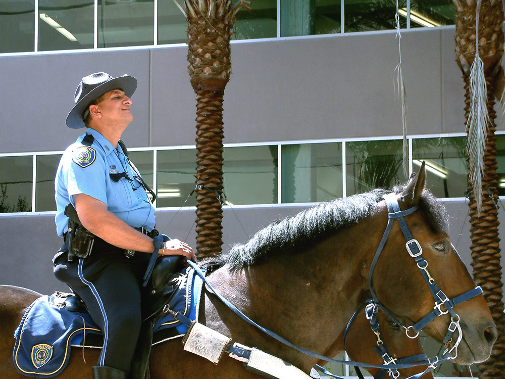 Photography by JacksBlack for DesignCrowd (Community Contests) | Design #9133074