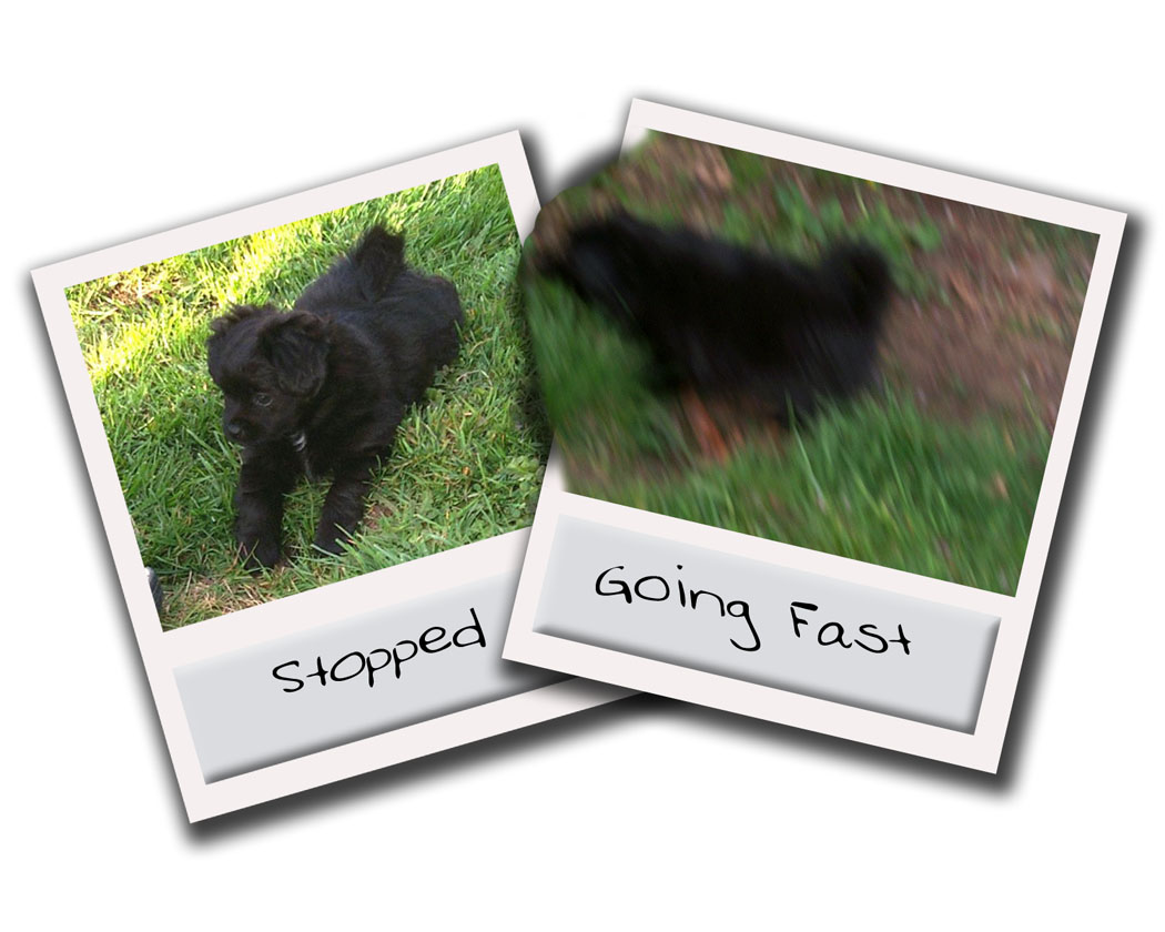 Photoshop Design by LeMolstad for DesignCrowd (Community Contests) | Design #9132360