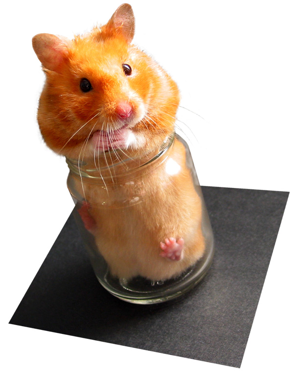 Photoshop Design by Famous58 for DesignCrowd (Community Contests) | Design #9132309