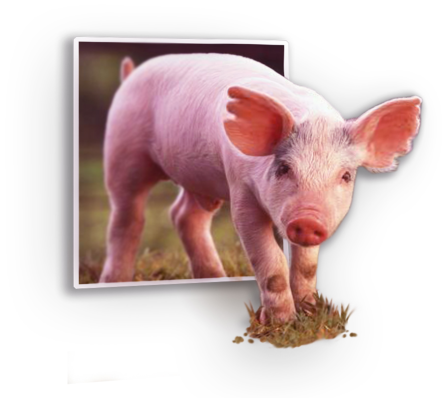 Design Photoshop par blueorb pour DesignCrowd (Community Contests) | Design #9132437