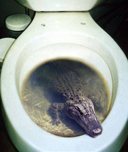 Photoshop Design by princeok for DesignCrowd (Community Contests) | Design #9135724