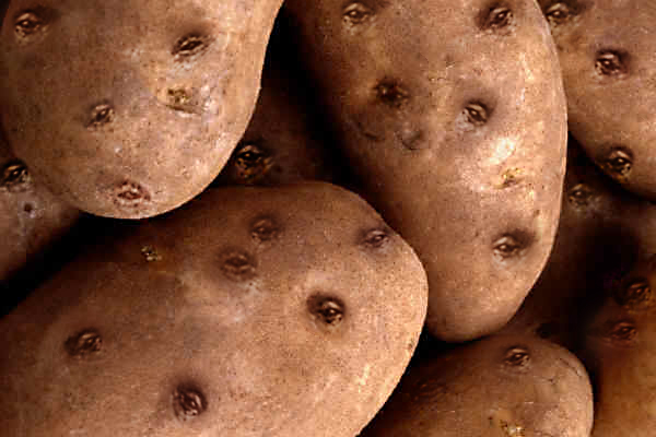 Photoshop Design by robayer for DesignCrowd (Community Contests) | Design #9135726