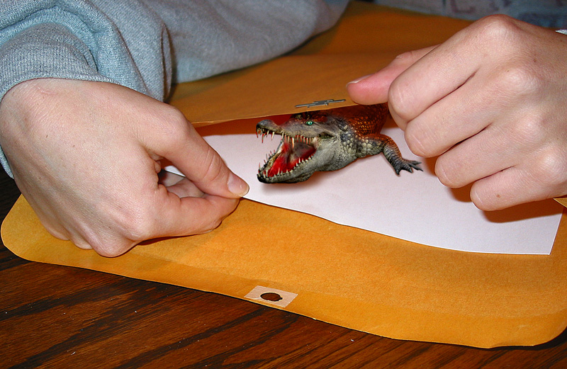 Photoshop Design by digsRus for DesignCrowd (Community Contests) | Design #9135758